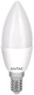 Entac LED Candle E14 4W CW 6400K