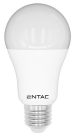 Entac LED Globe E27 12W NW 4000K