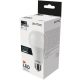 Entac LED Globe E27 15W CW 6400K