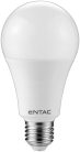 Entac LED Globe E27 18W WW 3000K