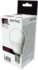 Entac LED Mini Globe E14 6,5W WW 3000K
